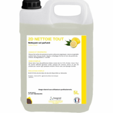 Détergent 2d Solutions Hygiène Citron
