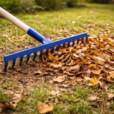 Rateau Forge 1,5 M Dents Courbees