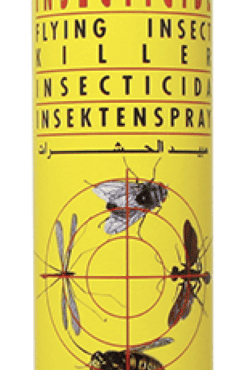 Insectes Volants