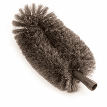 Tete De Loup Courbee