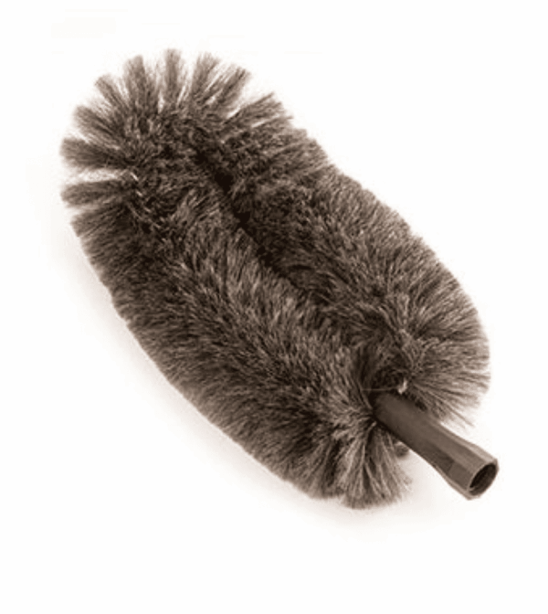 Tete De Loup Courbee