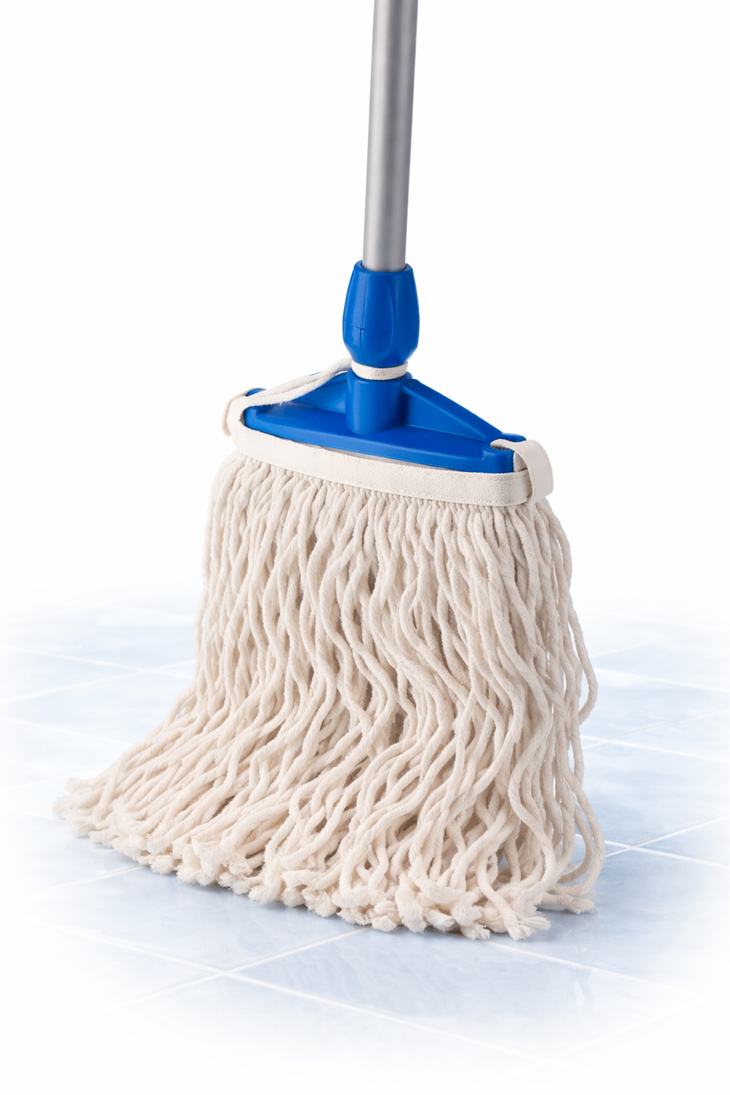 FRANGE FAUBERT 350 GR